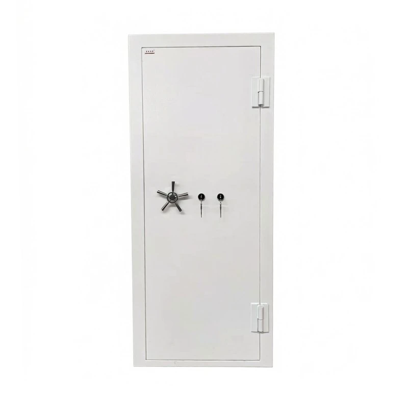 Grade 5 Security Door high quality
