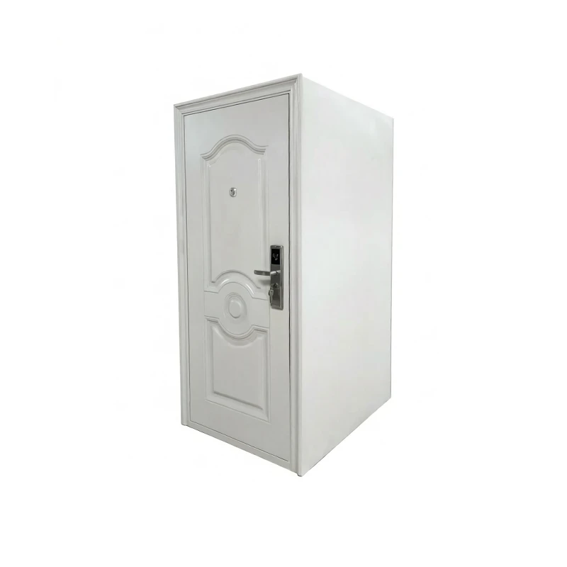 Reinforced Security Interlock Door