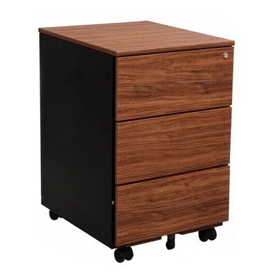 Lockable Low Cabinet